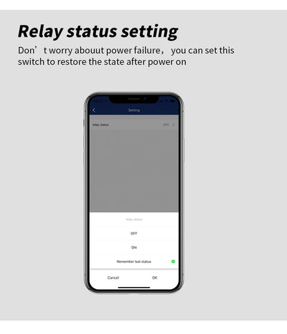 ANJIELO smart home Wi-Fi Smart Plug Voice & Phone Control Your Devices Anywhere TUYA app