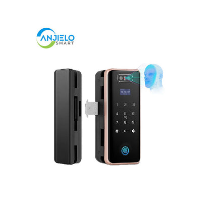Anjielo Smart Home Intelligent 3D Face Recognition Door Lock - Secure & User Friendly Glass Entry Systems